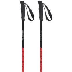 Bâtons TSL Tour Carbon 2 Light - Swing -Plein Air Équipement Magasin batons tsl tour carbon 2 light swing 2